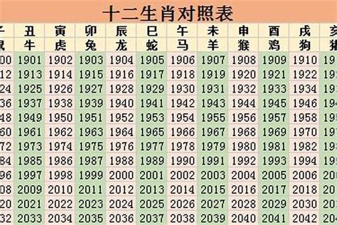 89年什么命|1989年属什么生肖，89年出生是什么命